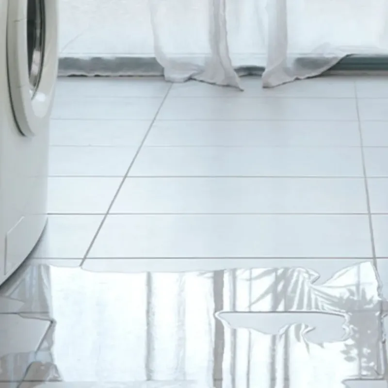 Appliance Leak Cleanup in Ivanhoe, CA