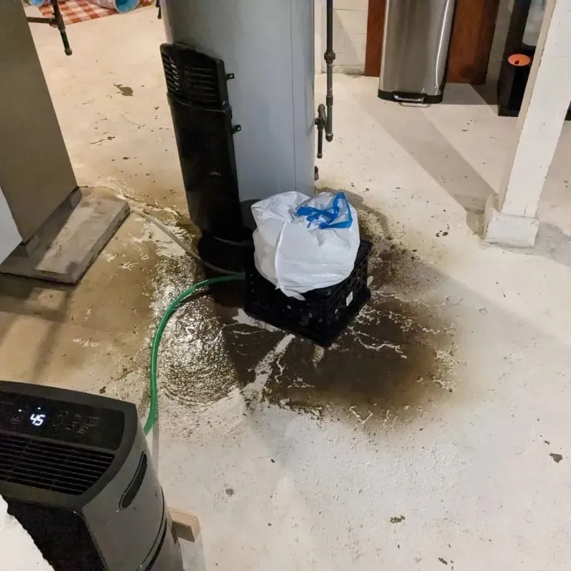 Sewage Backup Cleanup Service in Ivanhoe, CA